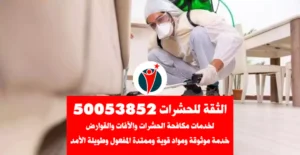 مكافحة حشرات حولي