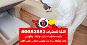 مكافحة حشرات مبارك الكبير